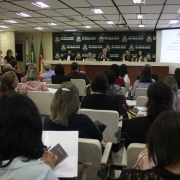 Seminário Estadual Construindo Redes de Atenção à Saúde das Pessoas em Situação de Violência Sexual 