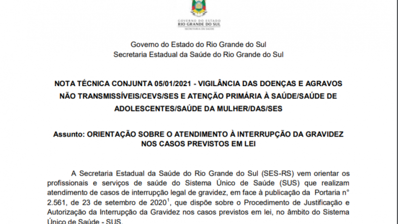 nota técnica